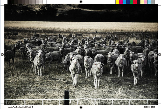 anima - animal Das Wesen der Tiere - Kunsthandel Pohlhammer Steyr
