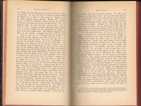 Nibelungen 1 - Deutsche National Litteratur 1889