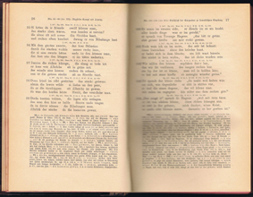 Nibelungen 2 - Deutsche National Litteratur 1889