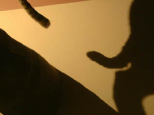 22_10_026.JPG (7911 Byte)