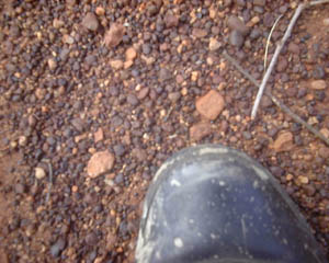 25_10_009.JPG (27253 Byte)