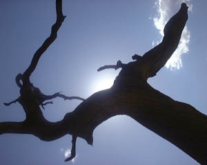 25_10_031.JPG (12264 Byte)