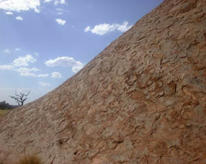 25_10_033.JPG (18952 Byte)