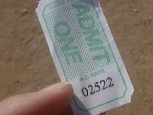 25_10_035.JPG (13650 Byte)