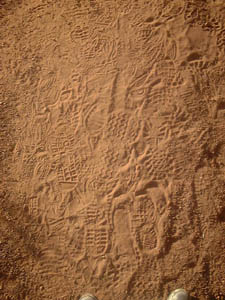 25_10_043.JPG (25804 Byte)