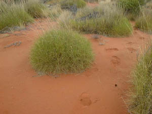 27_10_003.JPG (13601 Byte)