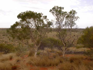 27_10_005.JPG (18851 Byte)