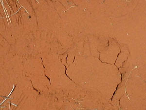 27_10_015.JPG (12161 Byte)