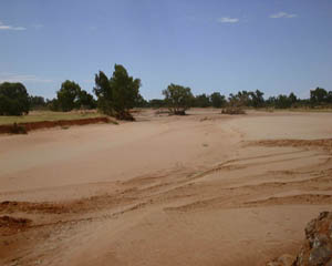 27_10_030.JPG (12206 Byte)