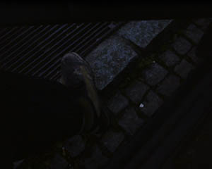 003.jpg (7798 Byte)