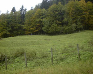 078.jpg (19084 Byte)
