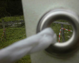 081.jpg (11652 Byte)