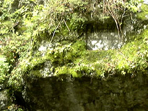 090.jpg (36210 Byte)