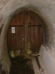 101.jpg (13110 Byte)