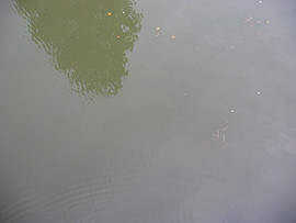 28Tr_50_way_nuernberg_transformer04.jpg (10542 Byte)