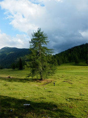Eggeralm 2014